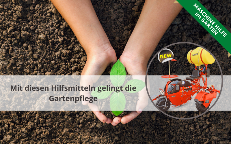 Tolle Gestaltungsideen Fur Den Heimischen Garten Baunews